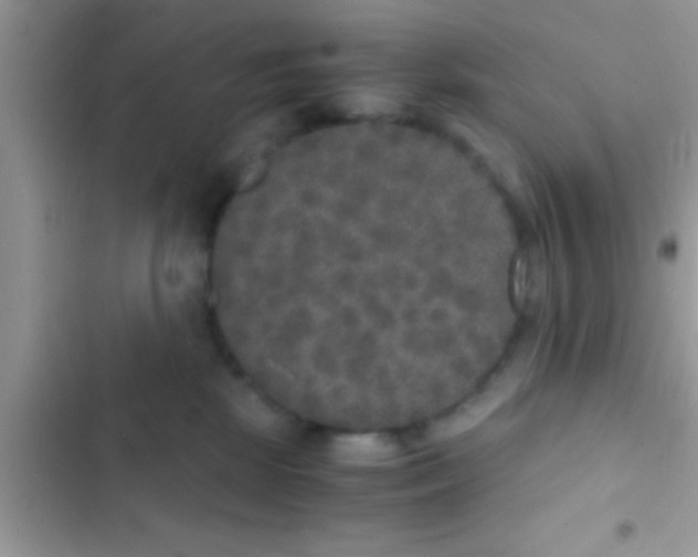 X0000103310281200809191924