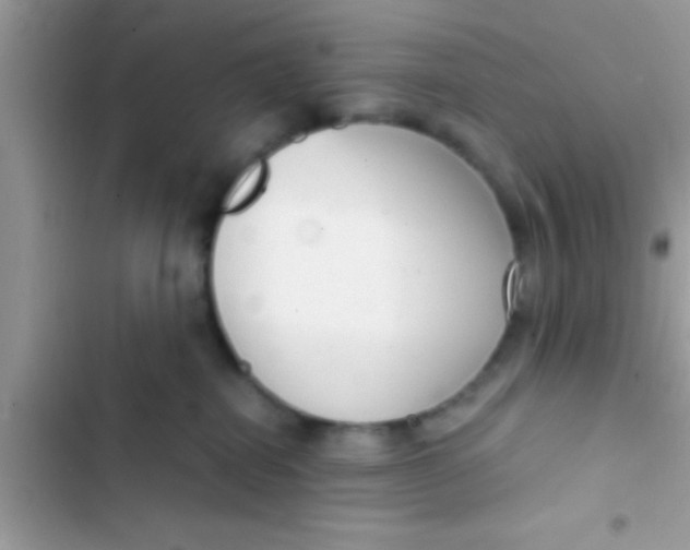 X0000103310282200809191924