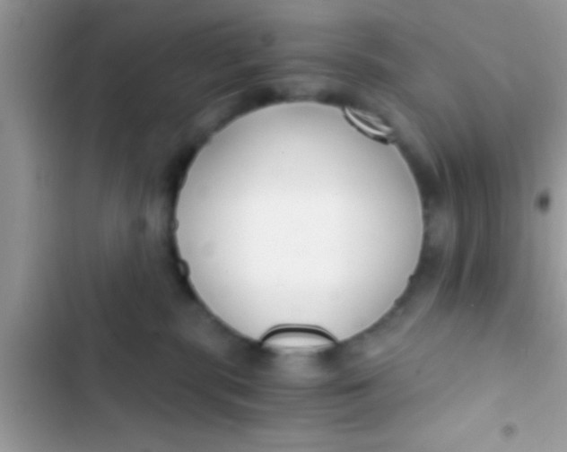 X0000103310283200809191924