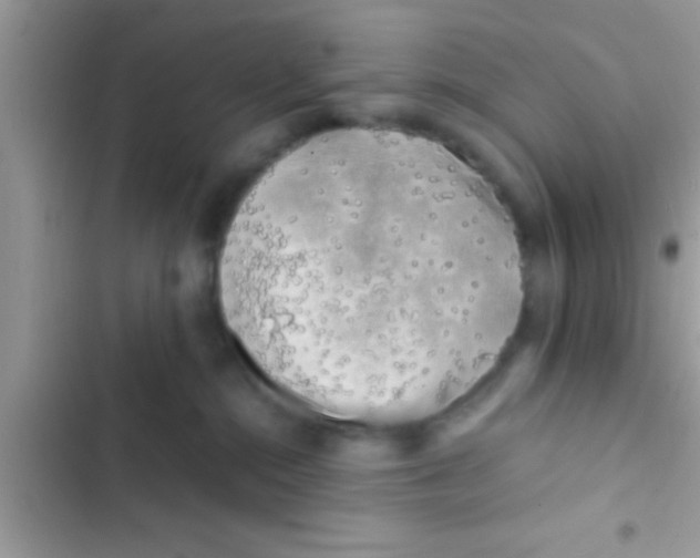 X0000103310284200809191924