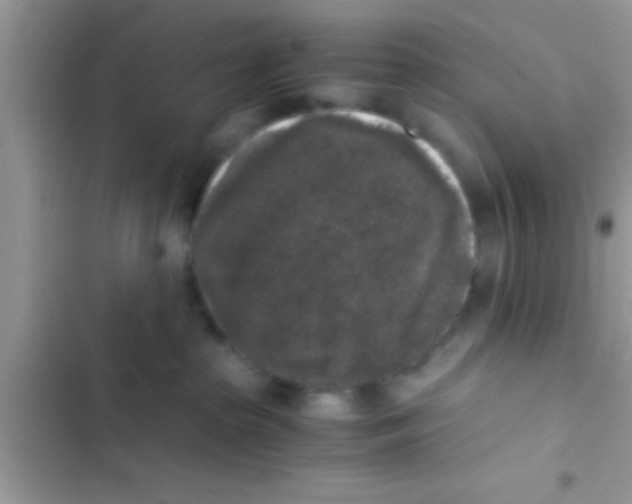 X0000103310285200809191924