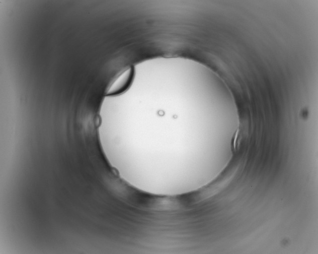 X0000103310286200809191924