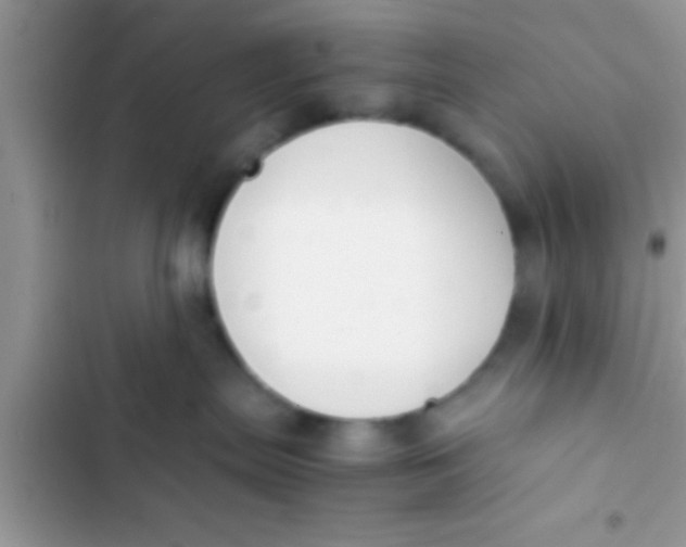 X0000103310287200809191925