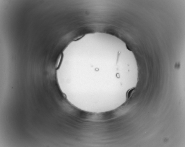 X0000103310288200809191925