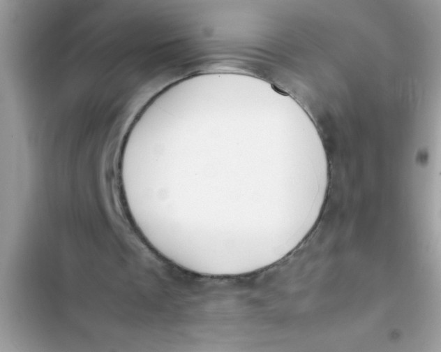 X0000103310289200809191924