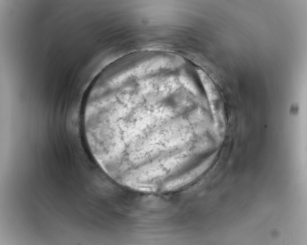 X0000103310290200809191924