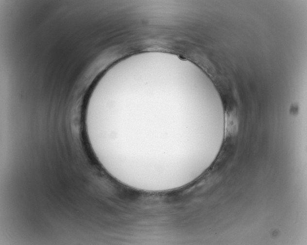 X0000103310291200809191924