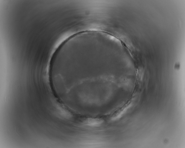 X0000103310292200809191924