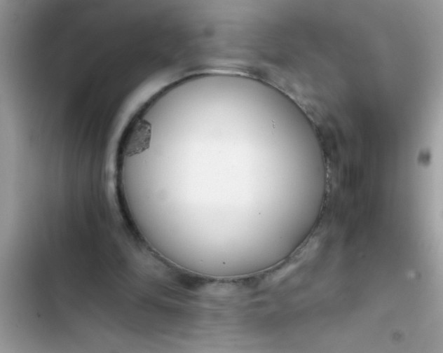 X0000103310294200809191924