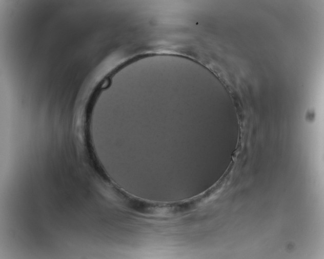 X0000103310295200809191924