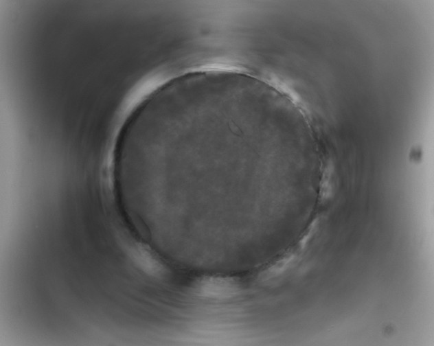 X0000103310296200809191924