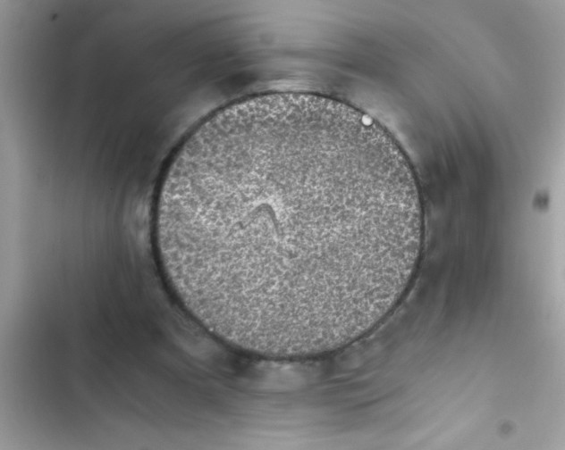 X0000103310297200809191924