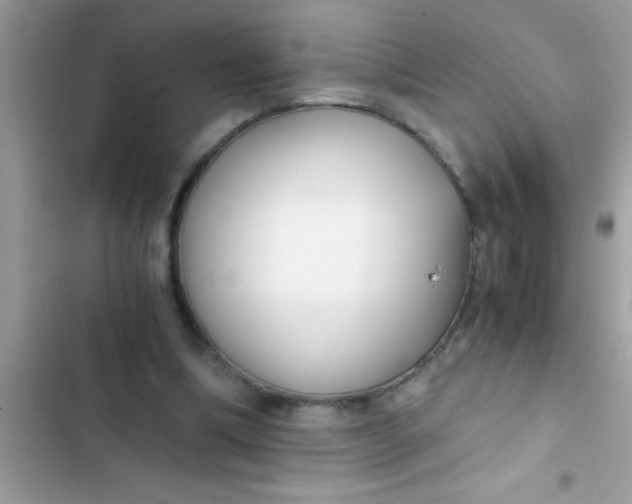 X0000103310298200809191924