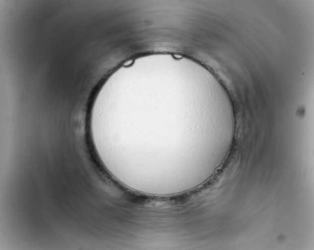 X0000103310299200809191924