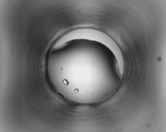 X0000103310300200809191924