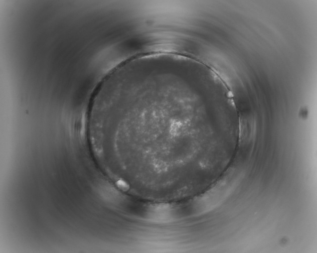 X0000103310301200809191924