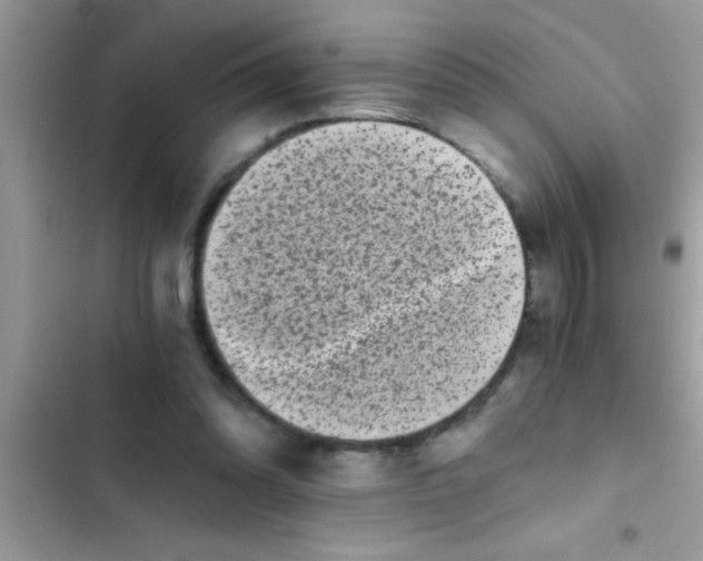 X0000103310302200809191924