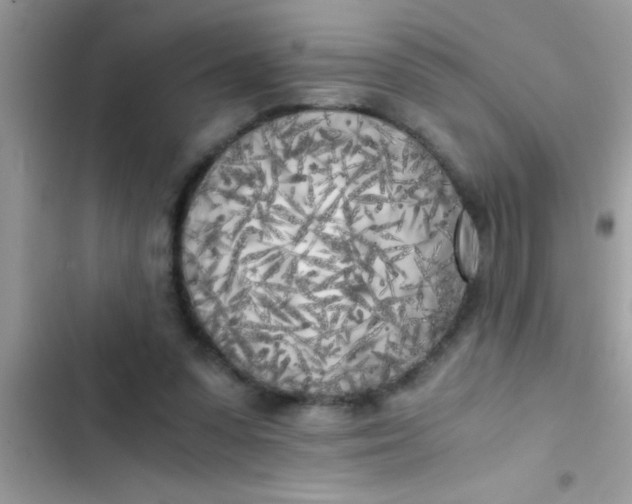 X0000103310303200809191923