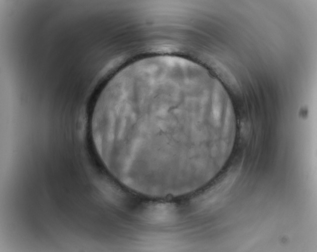 X0000103310304200809191923