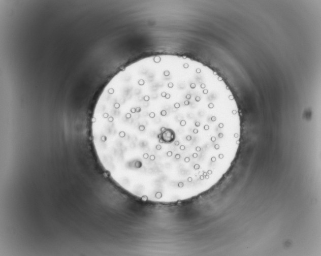 X0000103310305200809191923