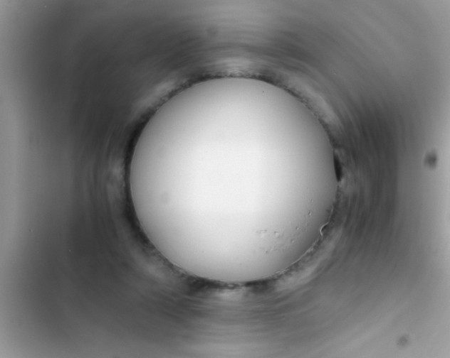 X0000103310306200809191923