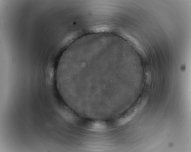X0000103310308200809191923