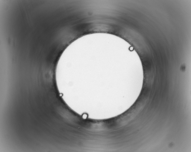 X0000103310309200809191923