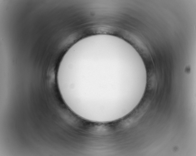 X0000103310310200809191923