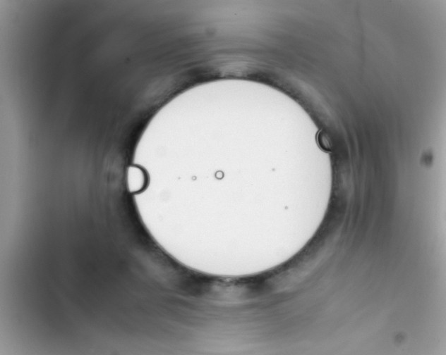 X0000103310311200809191923