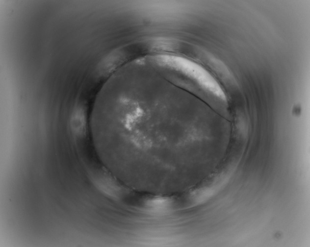 X0000103310312200809191923