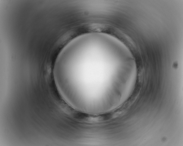 X0000103310314200809191923