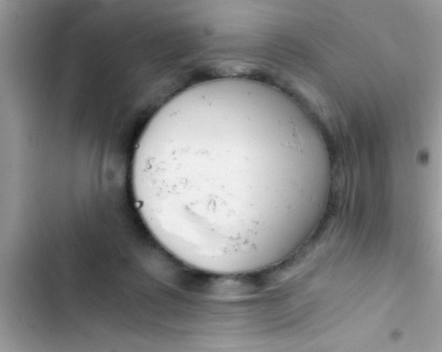 X0000103310315200809191923