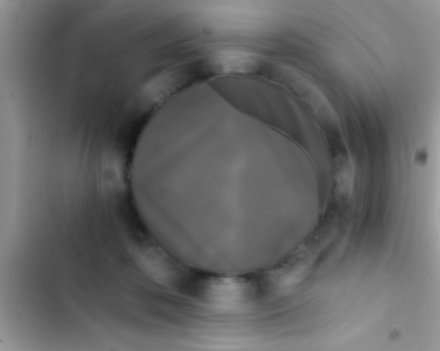 X0000103310316200809191923