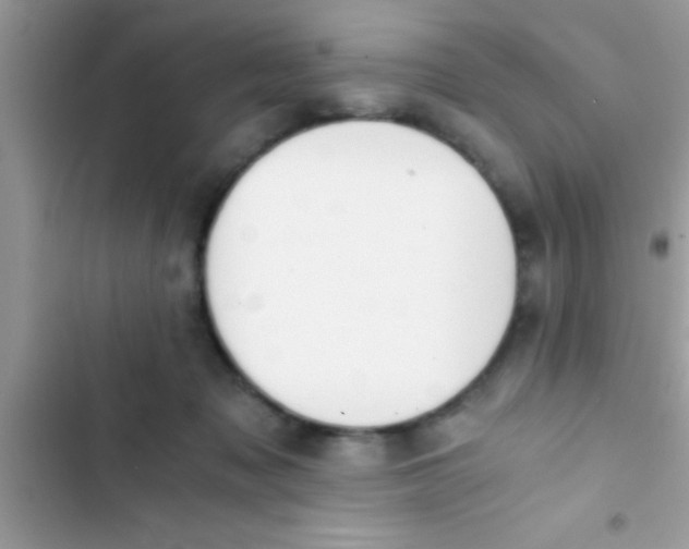 X0000103310317200809191923