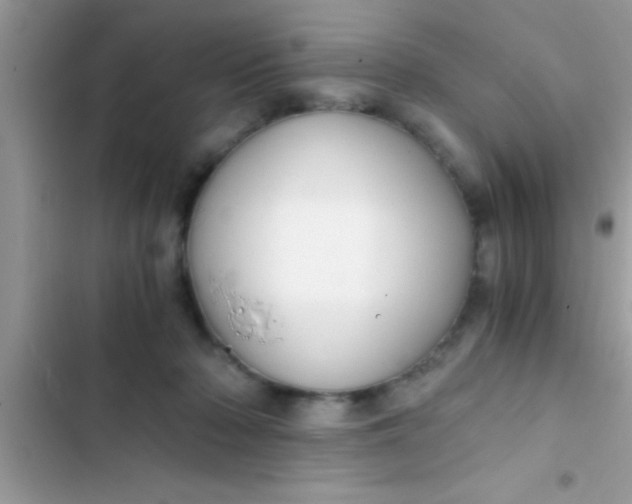X0000103310318200809191923