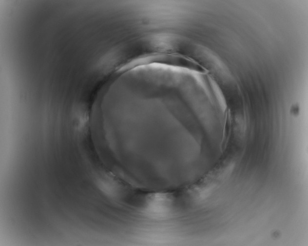 X0000103310320200809191923