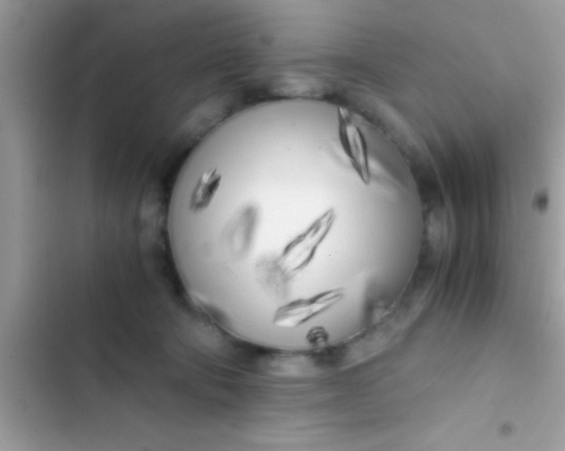 X0000103310322200809191923