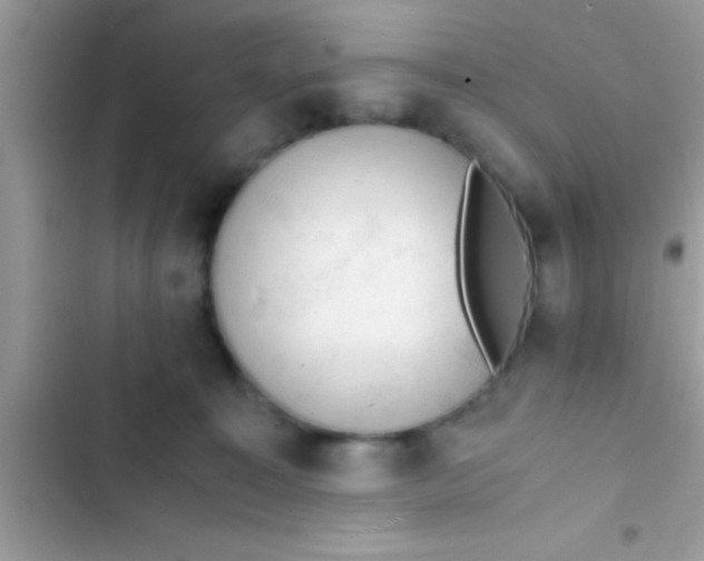 X0000103310323200809191923