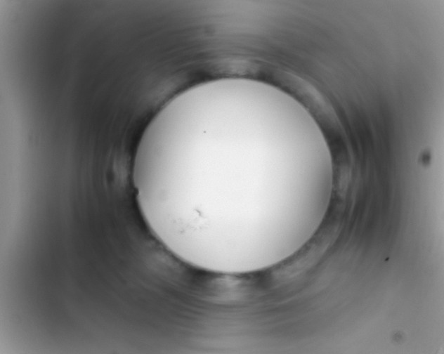 X0000103310326200809191923