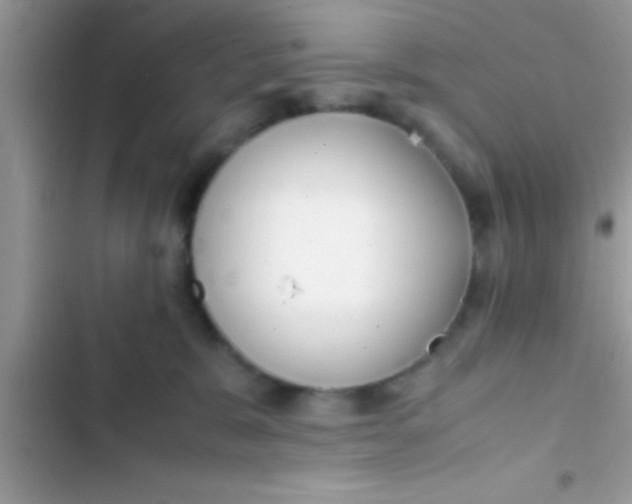 X0000103310327200809191923
