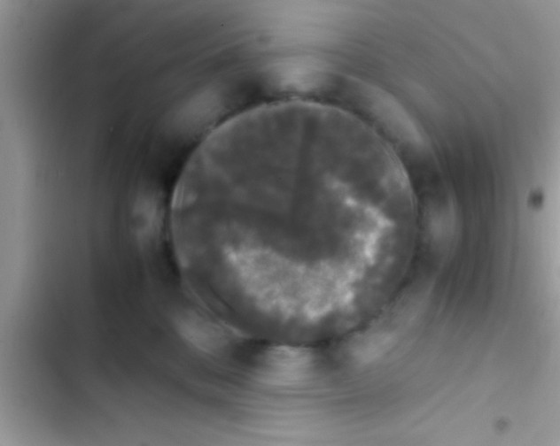 X0000103310328200809191923