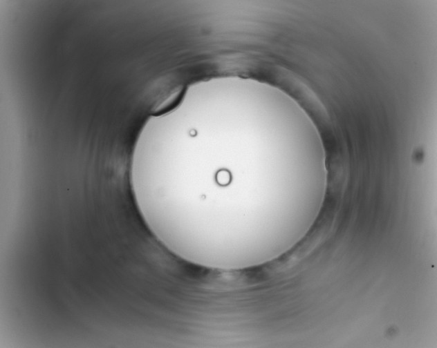 X0000103310329200809191923