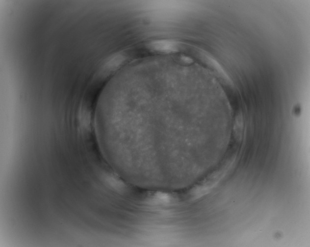 X0000103310330200809191923