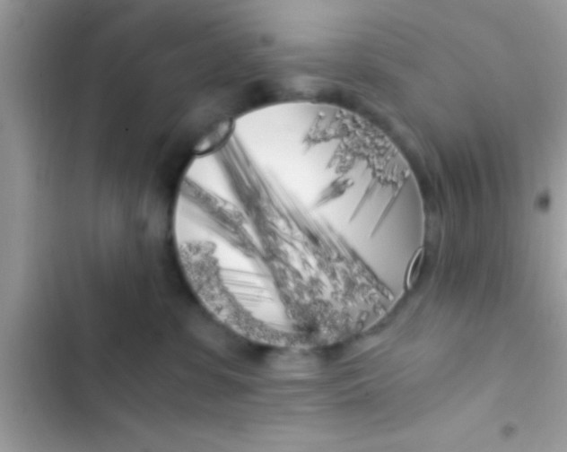 X0000103310331200809191923