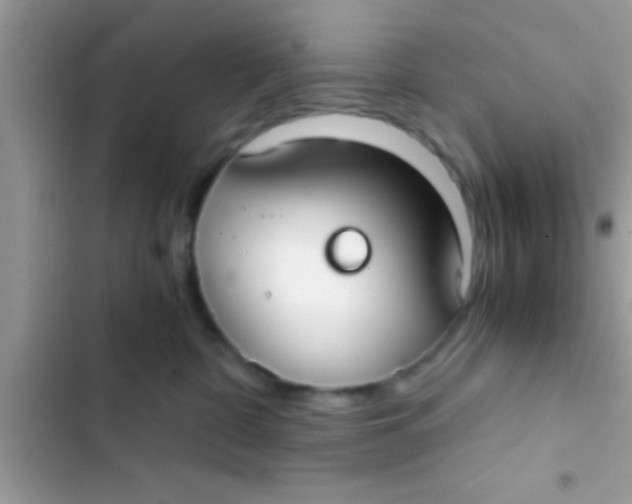 X0000103310332200809191923