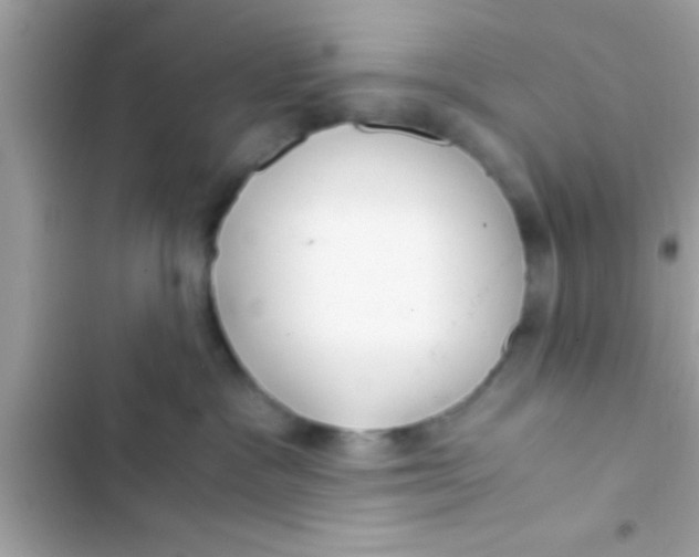 X0000103310333200809191923