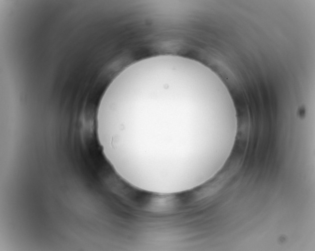 X0000103310334200809191923