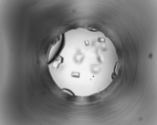 X0000103310335200809191923