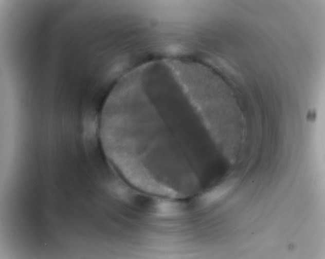 X0000103310336200809191923