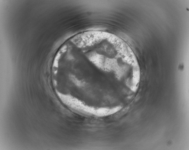 X0000103310337200809191922
